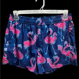 Flamingo Print Blue Board Shorts